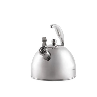 Stainless steel kettle on a white background