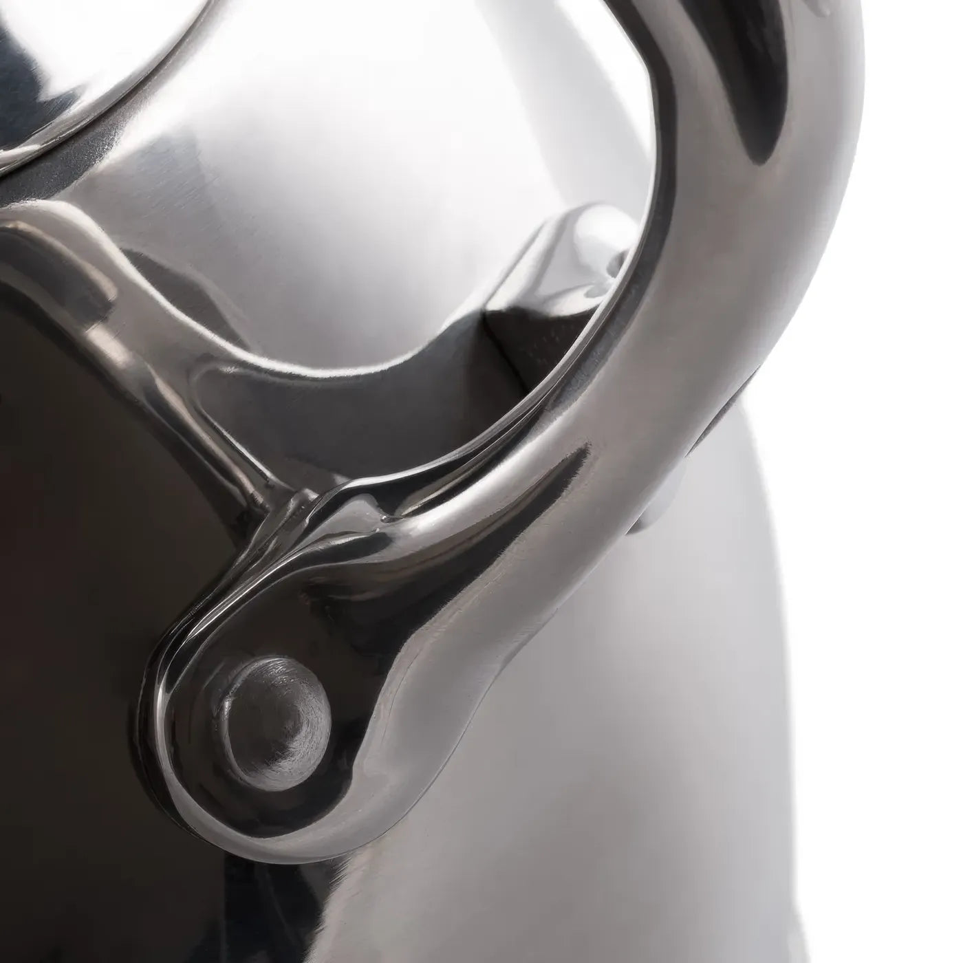 Whistling Kettle 2.75 LTR Stainless Steel - FIONA Series