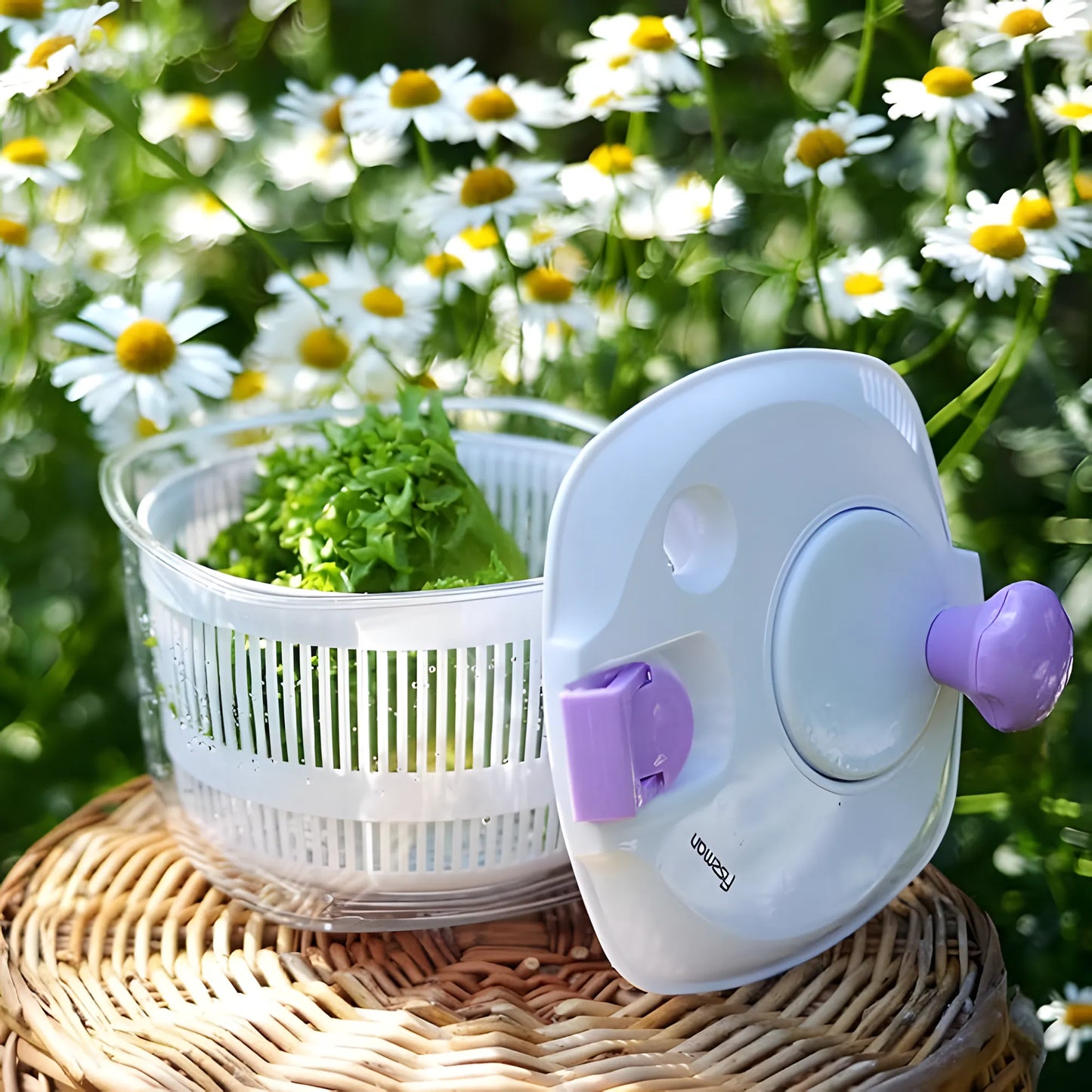 Salad And Herb Spinner 24.3x16.3 /4.0L (Plastic)